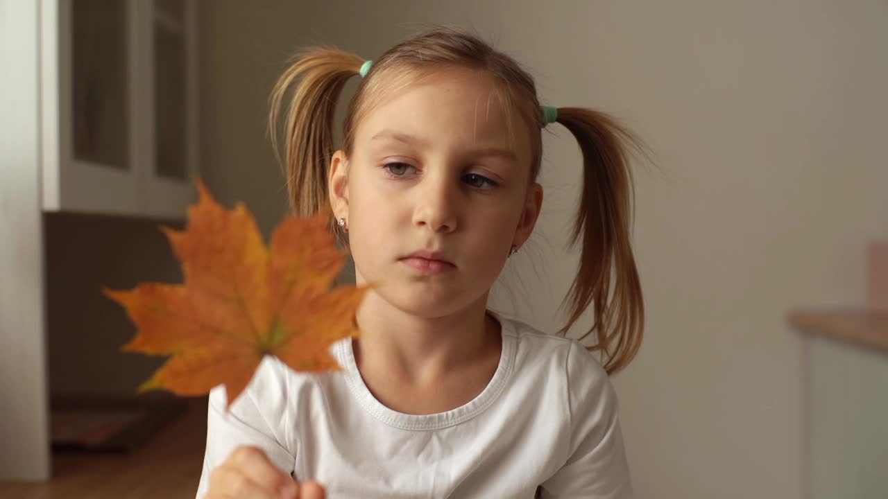 小女孩沉思的特写，手牵着手，若有所思地转动干了的秋叶枫树，想做什么贴花或画。
