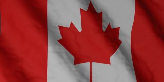 加拿大国旗在风中飘扬。