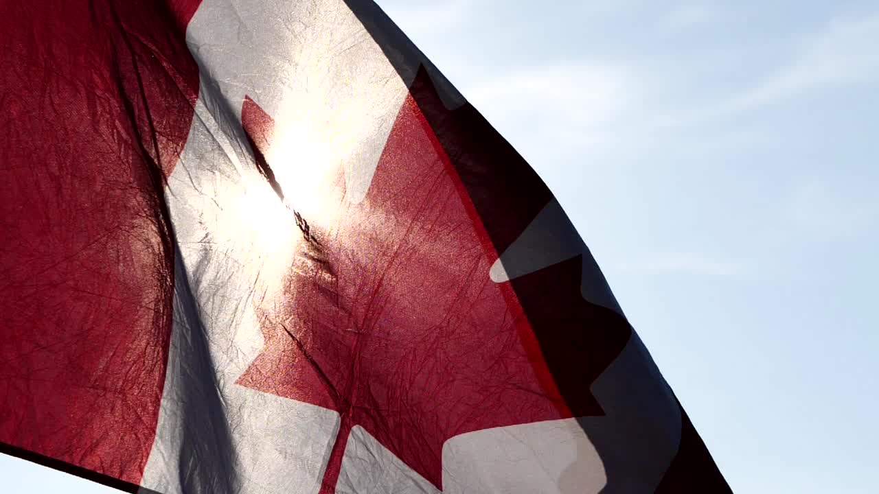 加拿大国旗迎风迎太阳的自然背景与软焦点，慢动作。加拿大日的概念，国旗，北美，枫叶旗。