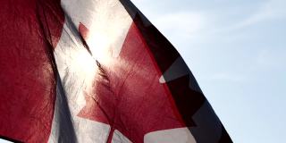 加拿大国旗迎风迎太阳的自然背景与软焦点，慢动作。加拿大日的概念，国旗，北美，枫叶旗。