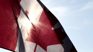 加拿大国旗迎风迎太阳的自然背景与软焦点，慢动作。加拿大日的概念，国旗，北美，枫叶旗。视频素材模板下载