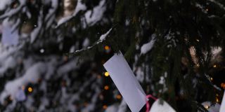 圣诞老人的祝福信挂在户外的圣诞树上