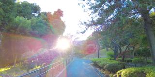 横滨野山公园之美