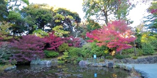 横滨野山公园之美