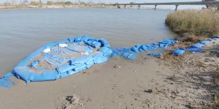 用蓝色塑料袋和沙子加固河岸
