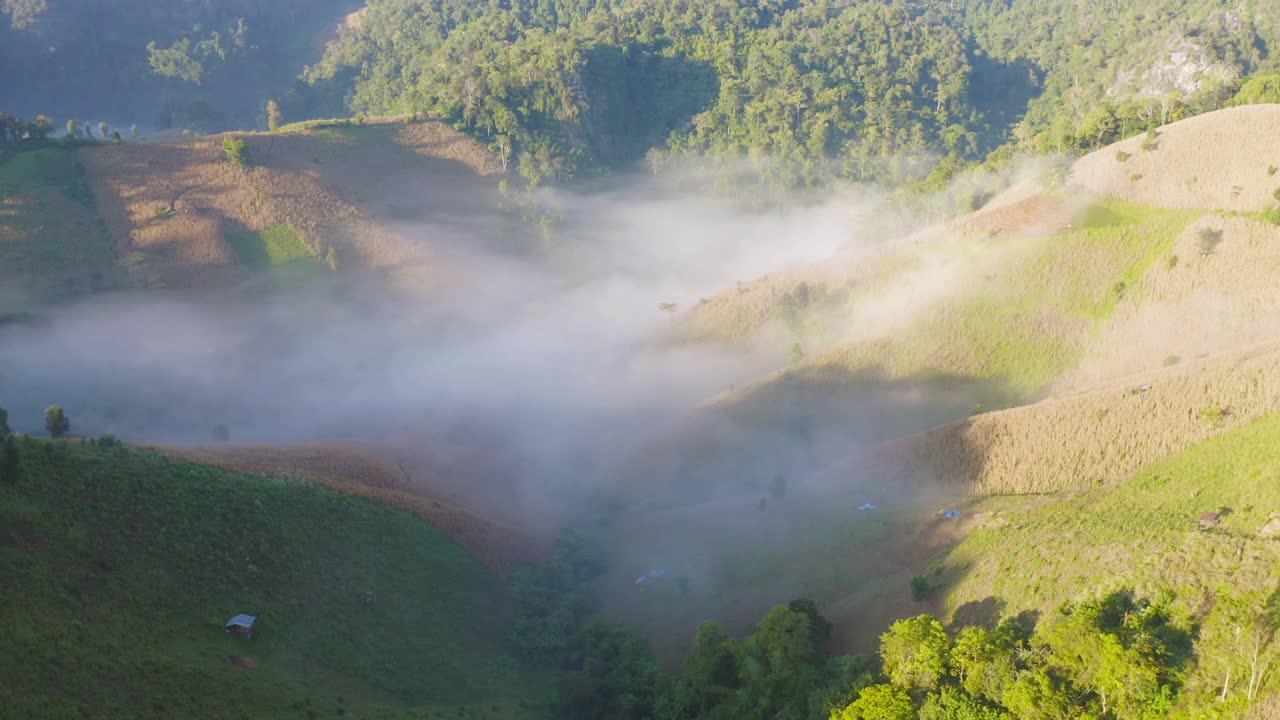 鸟瞰森林树木和绿色的山峰与海雾，雾和云。自然景观背景，泰国。