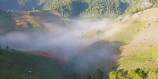 鸟瞰森林树木和绿色的山峰与海雾，雾和云。自然景观背景，泰国。