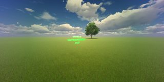 世界环境日视频，草地上的一棵树，4K