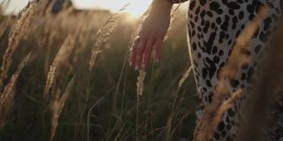 女孩走在夏日的田野上。穿着衣服的女人用手抚摸着草。人与自然的统一。旅行的概念。美丽的日落灯光在田野。草在风中摇曳。电影的慢镜头。