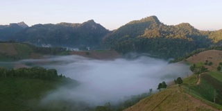 鸟瞰森林树木和绿色的山峰与海雾，雾和云。自然景观背景，泰国。