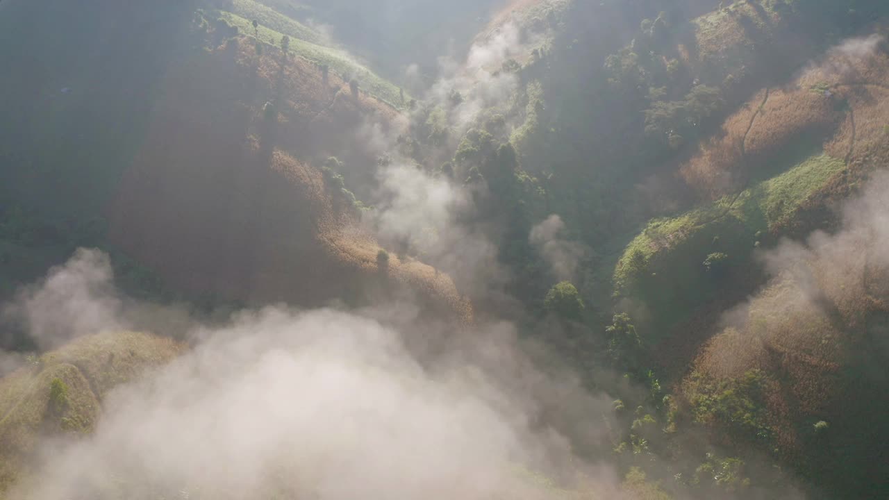 鸟瞰森林树木和绿色的山峰与海雾，雾和云。自然景观背景，泰国。