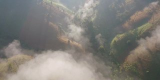 鸟瞰森林树木和绿色的山峰与海雾，雾和云。自然景观背景，泰国。