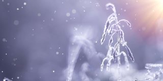4k可循环的冬季卡-雪与闪光效果。