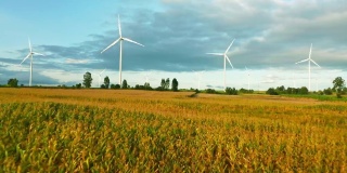 风能发电领域可再生能源，清洁能源或环境保护的概念。