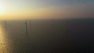 风力涡轮机在清晨，风车公园在荷兰。从空中看风力涡轮机，无人机在windpark westermeerdijk的一个风车农场在IJsselmeer湖最大的荷兰视频素材模板下载