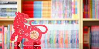 潘观中国新年老虎2022吉祥物剪纸在客厅的书架前，中文翻译是吉祥和快乐中国新年没有标志没有商标