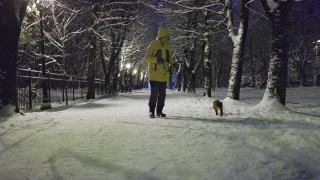 被训练用皮带走路的猫。傍晚，一个穿着黄色夹克的女人带着她的猫走在一个冬季公园的雪道上。视频素材模板下载