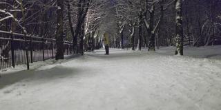 傍晚，一位身穿黄色夹克的女士牵着一只拴着皮带的猫走在冬季公园的雪道上。狗正在穿过场景，在前景中离焦。