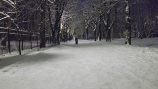 傍晚，一位身穿黄色夹克的女士牵着一只拴着皮带的猫走在冬季公园的雪道上。狗正在穿过场景，在前景中离焦。视频素材模板下载