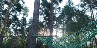 挂在森林里两棵松树之间的布制吊床
