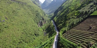 鸟瞰图的道路在山区和绿色森林在亚洲，汽车和摩托车通过