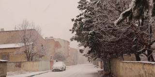 土耳其埃尔祖鲁姆下大雪。这个城市的气温可能会达到零下50摄氏度。在视频的开始有一只鸟(喜鹊)在飞翔。街上空无一人。下雪，冬季旅游。自然