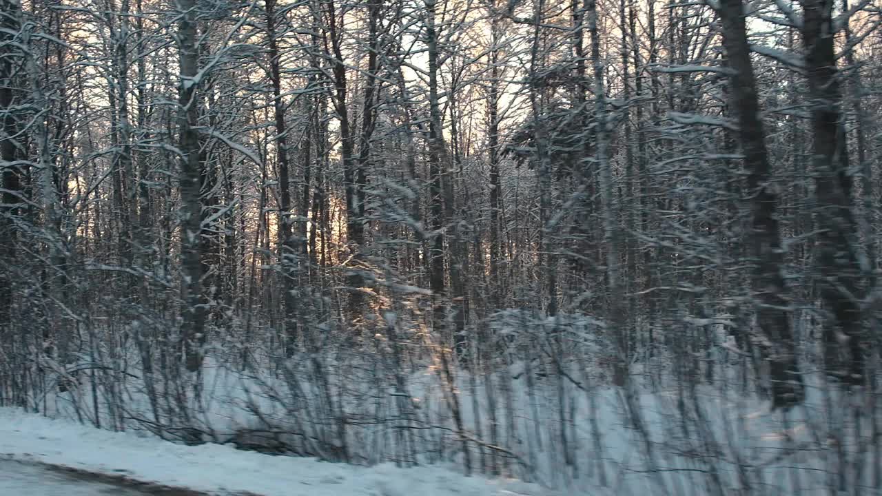 冬雪路上有松树、白桦林和田野。空旷的高速公路穿过冬季森林。汽车在路上超速行驶。侧窗视图的汽车在运动。旅游，旅行，旅行概念