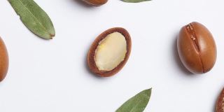白色底上的坚果种子。坚果油与植物。化妆品和天然油脂背景。