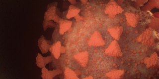 COVID-19冠状病毒显微镜视图