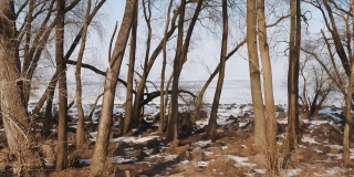 冬天的风景。冬季森林。在一个阳光明媚的冬日，光秃秃的树木在河边。雪覆盖在地上。河上结了冰