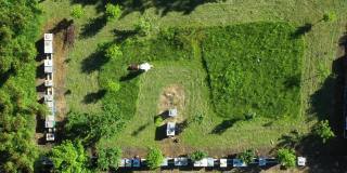 鸟瞰图，养蜂人用汽油割草机在养蜂场修剪草坪