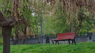 城市公园的景色与惊人的树枝盛开对着木凳。视频素材模板下载