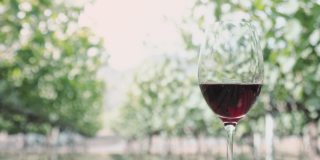 酒庄葡萄农场山谷的木桌上放着一杯红酒，美丽的远景背景，绿树成荫，日落时的晴空，展示了酒业节日聚会的概念。