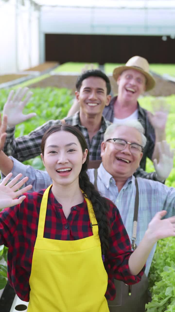 多样化的大棚农场手挥手问候手势向相机问好，欢迎和愉快的问候一起快乐团队合作在水培大棚花园农场健康食品理念。