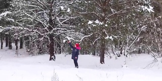 散焦点小有趣的女孩在红色温暖的帽子从树枝上摇雪在大自然冬季积雪森林背景漂亮的孩子户外，寒冷的天气高加索孩子。节日快乐。的焦点