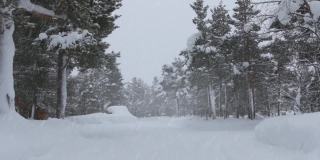 下雪时森林道路上的慢镜头