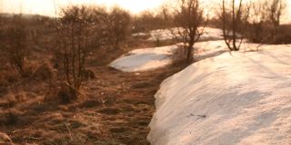 在枯萎的草茎上融化的雪堆。去年的雪堆。春天秋天