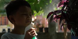 早上，一个亚洲男孩在给一小块有机蔬菜浇水。爱好在家里
