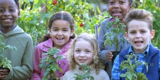 多种族儿童一起站在社区花园