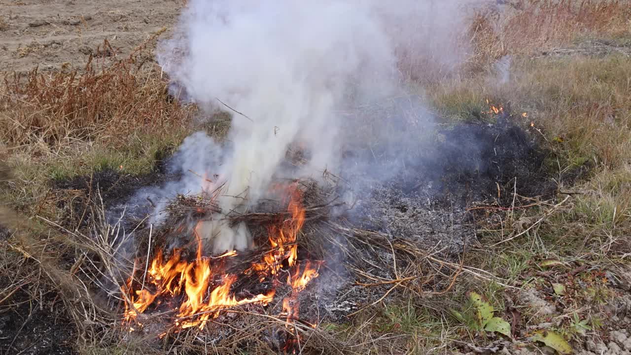 在秋季清洁工作期间，在花园垃圾焚烧干草时，冒出的烟上升