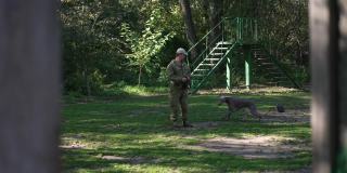广角镜头，专业训犬师在阳光明媚的日子里，在户外训练威玛拉诺犬的顺从性。年轻的动物和白种人在公园里学习指令。