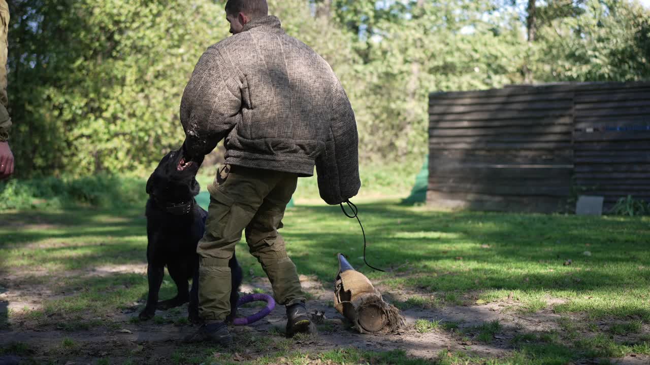 强壮的黑色德国牧羊犬拿着防护服的袖子和牙齿，白人男子在户外慢动作训练狗。训练中心的警犬攻击罪犯。