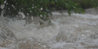 一场瓢泼大雨弄湿了河岸上的植被后，山河湍急地奔流，带着泡沫和溅水的急流跳过岩石