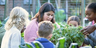 在社区花园教孩子们植物的妇女