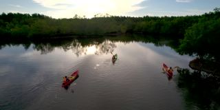 日落场景空中俯瞰旅行团或研究人员划桨动作划艇独木舟皮划艇在淡水湖发现和探索植物园热带地带的自然，攀牙省，泰国