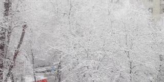 从多层建筑的窗户往外看。窗外下雪了。城市景观。树枝上霜和雪