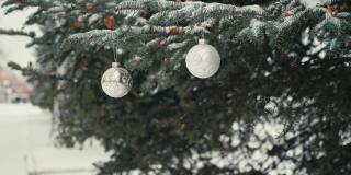 白色的圣诞树球挂在户外的蓝色云杉树上积雪的树枝上