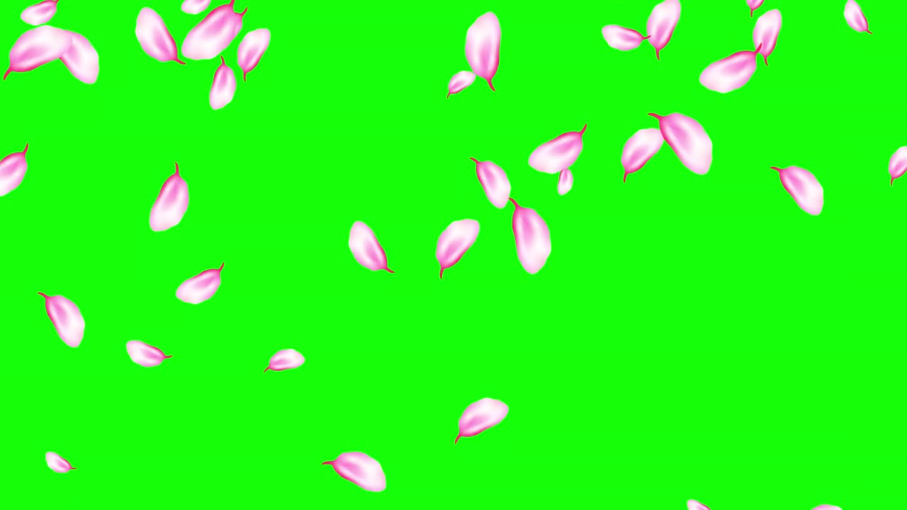 动画飞粉红樱花花瓣。无缝的环形图案与落下的日本春天樱花在绿色。美丽的设计为婚礼，情人节，母亲节。4 k运动图形