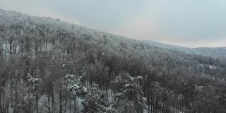 一场暴风雪后的冬季北方天然森林的4K航拍视频