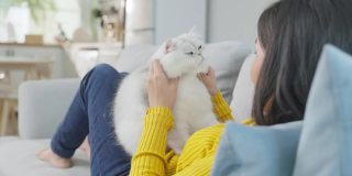 亚洲女人抱着小猫在家里玩得很开心。有魅力的漂亮女性坐在沙发上，悠闲地消磨时间，与她的宠物在客厅温柔地交谈。